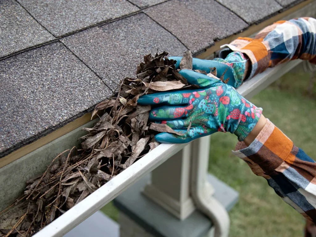 Home Maintenance Tips